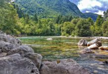 Сочинский национальный парк - фото
